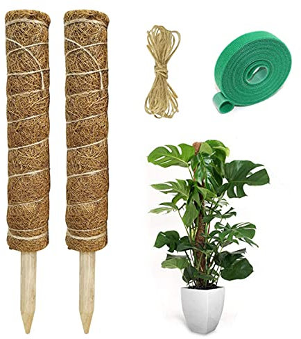 Pflanzstab Kokos,2 Stück Rankstab Monstera Rankhilfe Moosstab Kokosfaser Stützpfahl Coir,Für Haus Garten Kletterpflanze Mit 1 Rolle Klett Kabelbinder Und 1,5 M Jute Schnur (50CM)