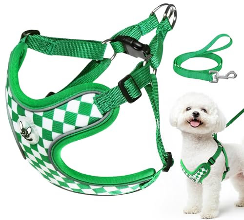 Cawjug Hundegeschirr und Leine Set, Weiches Einstellbares Reflektierendes Schritt-in-Westengeschirr für Welpen Extra-Klein Mittelgroße Hunde, Verstellbares Welpengeschirr (Grün, S)