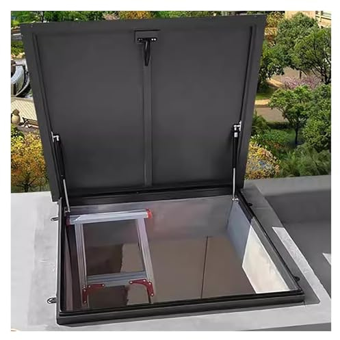 Portello di accesso del tetto in acciaio per una facile ventilazione e ispezione, soluzione di manutenzione commerciale resistente