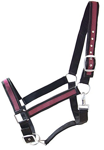 German Riding Kaltbluthalfter Big Boy schwarz-bordeaux