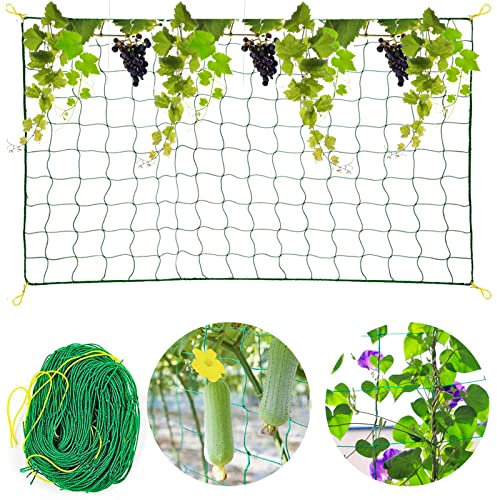jiuzcare Red de Enrejado Premium Red para Plantas Trepadoras Trellis Red de Jardín Enredadera Malla Redes para Balcones Red de Celosía para Plantas Trepadoras Adecuado para Pepinos, Tomates, 1.8 * 3m