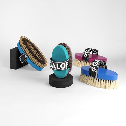 GALOP WEAR Pferdebürsten Set aus Naturmaterialien – 4-teiliges handgefertigtes Pferdepflege-Set für professionelle Reiter & Pferdeliebhaber – sanfte & intensive Reinigung (Colorful collection)