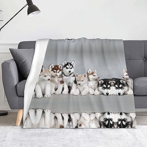 HAHAFU Hundedecke, Picknickdecke, bedruckt, warm, saugfähig, für Bett, Couch
