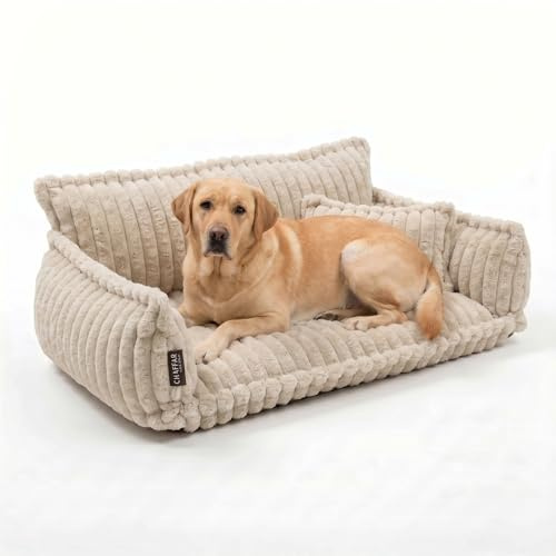 noviclass® Hundesofa Chaffar Hundebett | Orthopädische Matratze | Moderner Stil | Cord-Design Größen (Creme, XXL (140cm))