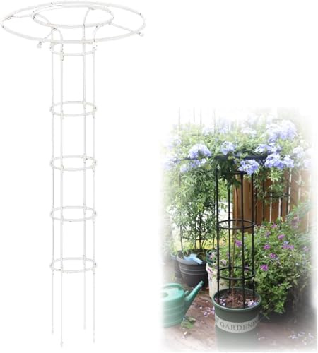 Enrejado vertical de jardín resistente al óxido para plantas trepadoras y flores, jaula de soporte de glicinia de 70.8 pulgadas, estante de soporte al aire libre para vides, rosas y vegetación, y