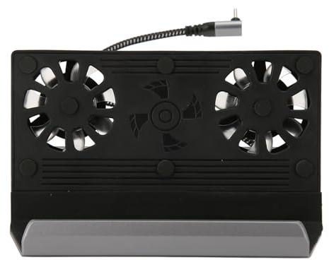 Generic Dock 10 in 1 per Steam Deck Doppia Ventola di Raffreddamento Porta di Rete da 1000 Mbps per Configurazione Home Office Tipo C M a PD Lega di Alluminio ABS per Rog Ally e Steam Deck