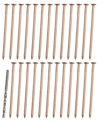 Lot de 25 clous en cuivre pur de 10,2 cm avec foret pour enlever les racines et les souches d'arbre, pour projets d'entretien de jardin