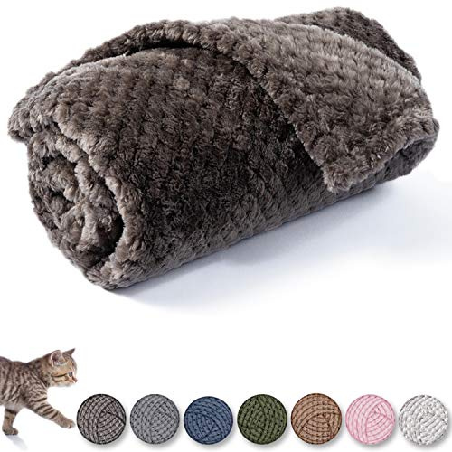 CUTEMATE Hundedecke oder Katzendecke oder Haustierdecke, warm, weich, flauschig, für Welpen, kleine, mittelgroße Hunde oder Katzen, Plüsch-Fleece-Überwurf für Bett, Couch, M/32x40, dunkelgrau