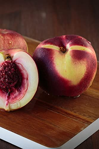 Albero di Pesco Noce varietà Caldesi pianta di pesca noce Caldesi Età 2 anni già innestata pianta da frutto di pesca noce pianta vera di pesche noci venduta da eGarden.store