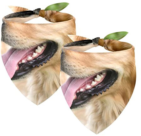 Passendes Set mit Hundehalstüchern, Hundelätzchen, Schal, Dreieckstuch für Hunde, Katzen, Haustierbesitzer, Mutter und Vater, 2er-Pack,Schönes Golden Retriever Tier