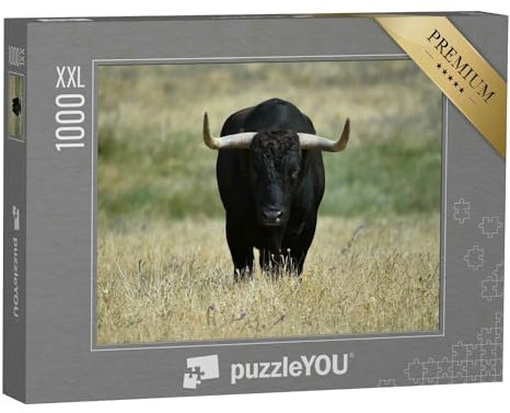 Puzzle 1000 Teile XXL „EIN schwarzer Stier mit großen Hörnern auf dem Feld“ – aus der Puzzle-Kollektion Stiere, Bauernhof-Tiere