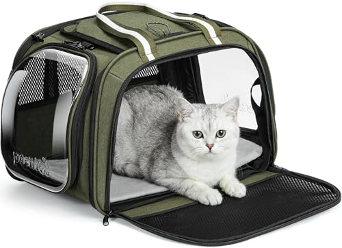 Pecute Sac Transport Chat Grande Capacité, Sac Transport Chat Vert, M | Respirant Transport Chat, Stransport À Bulles Pour Chats Curieux, Sac De Transport Pour Chien, Voyager, Sortir, Voiture