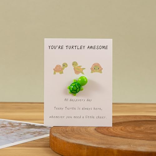 HBJSP Pocket Hug Penguin, Penguin Gifts, A Little Pocket Penguin Hug, Penguin Pocket Keepsake Ornament, Mini Pocket Penguin Hug, Tinking of You Gift, Lovers, Birthday, Wedding Valentines (Turtle)