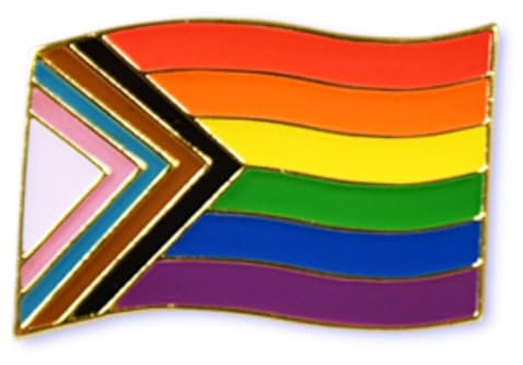 Pins Progress Pride Flag (geschwungen), 24 mm Regenbogen Rainbow Flagge Fahne Anstecker Button Metall NEU Anstecknadel