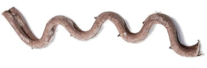 Reptiles - Branche d'angle pour lézards terrariums plantes habitats décoration grimpante abri rotin pour amphibien