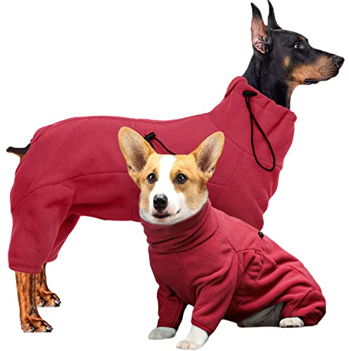 Hjyokuso Hundemantel Winter, Hundejacke, Weicher Fleece Hundepullover FüR Kleine MittelgroßE Grosse Hunde, Winddichte Haustierkleidung Outfit Mit ReißVerschluss, Chihuahua Kleidung (XXS-3Xl)
