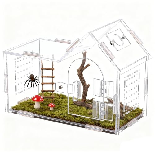 Recinto Per Saltatori - Serbatoio In Acrilico Trasparente, Scatola Per Rettili Ventilata, Habitat Di Alimentazione | Comodo Utilizzo Per Gechi, Rane, Lucertole, Tarantole, Grilli, Lumache, Manti