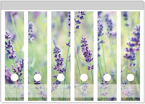 Wallario Ordnerrücken Sticker Lila Blumenfreude - Violette Pflanzen auf der Wiese - Größe 6 Stück, Rückenschilder für 6 breite Ordner, Klebeetiketten