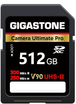 GIGASTONE UHS-II V90 512 GB Scheda SD, Camera Ultimate Pro, Velocità fino a 300/250 MB/s, U3 SDXC 4K Ultra HD UHD Video per DSLR Canon, Nikon, Sony, Pentax, Kodak, Panasonic, con 1 mini custodia
