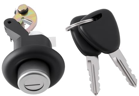 Briny River Serrure de Hayon à Cylindre avec Clés 905020198R Compatible avec Dacia Sendero 08-12