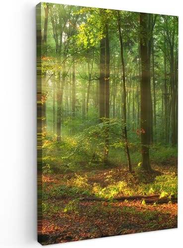 MuchoWow© Bild auf Leinwand Groß XXL Schlafzimmer Bilder Wand Deko | 80x120 cm - Wohnzimmer Modern Wanddeko Bilderwand Geschenk Sonne - Wald - Bäume - Natur - Herbst