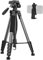 Camera Tripod Stand, LINKCOOL 74 Inch Tall Tripod for Camera Canon Nikon Sony - Lightweight Aluminum Tripod Camera Stand with Detachable Head & Phone Mount (Titanium Grey)