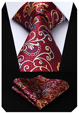 HISDERN Herren Krawatte Taschentuch Blume Paisley Hochzeit Krawatte & Einstecktuch Set