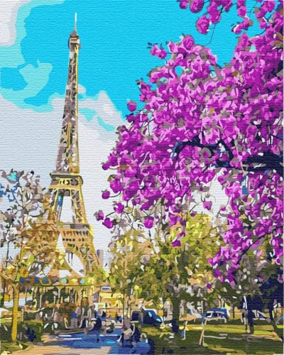 Artnapi Malen nach Zahlen Erwachsene mit Rahmen | DIY Handgemalt | Paris in Blüte | Kit für Anfänger und Erwachsene | Set inklusive Acrylfarben & Pinsel | 40x50cm Leinwand | Ideal als Geschenk
