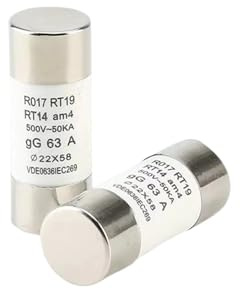 Fusibles cilíndricos de tubo cerámico, 2 fusibles de acción rápida de 22 x 58 mm, 500 V, 50 KA, 32 A, 40 A, 50 A, 63 A, 80 A, 100 A, 125 A, RO17, RT19, RT14 y RT18.(50a)