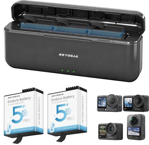 REYGEAK Battery and Charger for DJI Osmo Action 6,2 Pack Replacement Batteries for Osmo 360 Action5/4/3 with 3 Ports,2200mAh Portable Battery for DJI Osmo Extend Batteries Accessories
