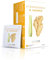 Nutra Tea - Lemongrass & Ginger Tea - 20 Enveloped Tea Bags - Herbal Infusion (1 Pack)