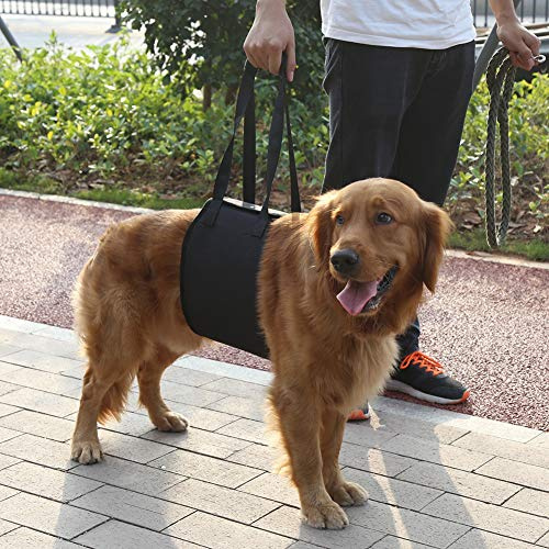 Harnais de Soutien Portable de sécurité pour Chien Noir, Harnais de réhabilitation d'aide au Levage avec poignée pour Aide Canine(XL)