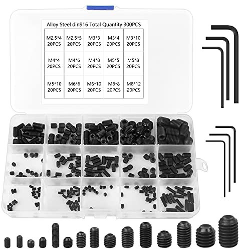 300 Stück Madenschrauben Sortiment M2.5 M3 M4 M5 M6 M8 Schrauben Gewindestift Set Kohlenstoffstahl Sechskantschraubensatz mit Inbusschlüssel mit Aufbewahrungsbox (Schwarz)