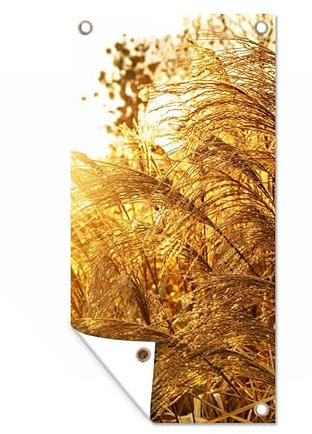 MuchoWow Poster exterieur Herbe de la pampa - Soleil - Herbe Decoration murale 80x160 cm Résistant aux intempéries/soleil