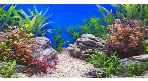 MIRRORANG 91x50cm Wasserpflanze Aquarium Hintergrund Stein Flussbett & See Aquarium Hintergrund Vinyl