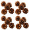 Ashuxxn 48 Stück Weihnachten Tannenzapfen Dekoration Natürliche Tannenzapfen Natürliche Anzapfen mit Schnur Kiefernzapfen Tannenzapfen mit Schnur Ornamente für Weihnachten Party Hängende (Holzfarbe)