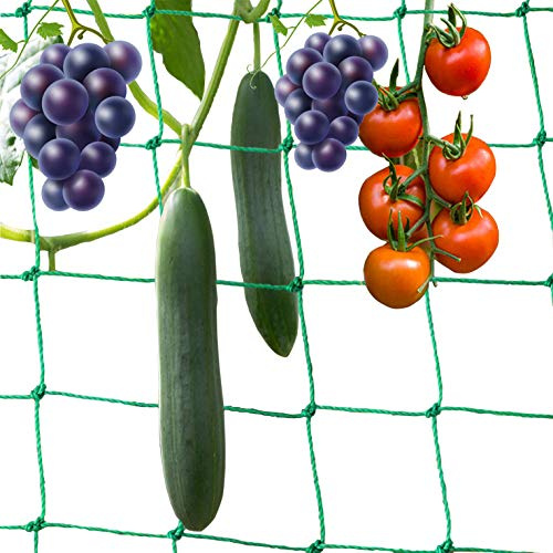 BOELLRUNO 10 * 2M Filet Plantes grimpantes Filet Potager Filet de Treillis pour Tomates Rcolte de Concombres Lgume Vignes Plantes Grimpantes