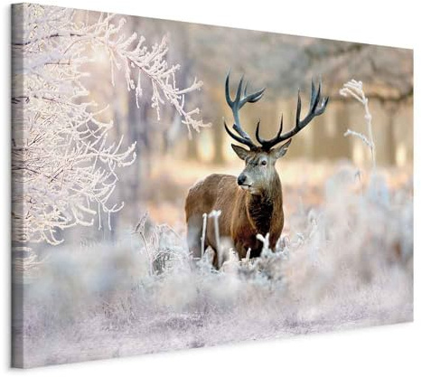 murando - Akustikbild Natur Tier Landschaft, Schallschutz, Wohnzimmer, Büro | Verbessert Raumakustik, reduziert Hall, ideal fürs Büro oder Wohnzimmer, hochwertige Verarbeitung, schnelle Montage, stilvoll