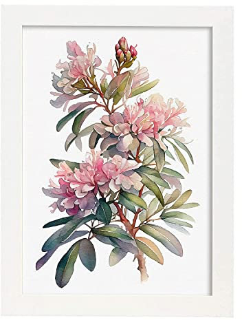 Nacnic Rhododendron Poster in Watercolor style Flower Plant Botanical Illustration White Background Wall Art Prints for Interior Design and Decoration. Model 1, Size A4 White Frames