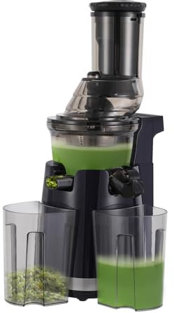 Slow Juicer - Spremiagrumi per frutta e verdura, 250 W, 58 giri/min, con 2 tazze, 800 ml, per frutta e verdura intera, blu scuro
