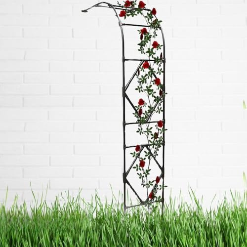 Arche de jardin en métal pour plantes grimpantes - Résistante aux intempéries - Grande arche de jardin - 3 x 2,4 m - Noir - Parfait pour la décoration extérieure et l'aménagement paysager
