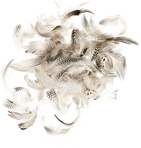 GLOREX 6 3822 150 - Hahnenfedern, ca. 5 - 12 cm, als Bastelmaterial und zur Dekoration, 10 g Beutel