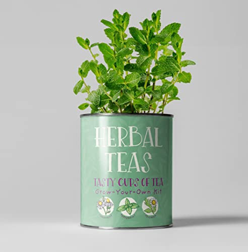 The Plant Gift Company HerbalTea