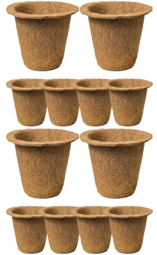 Yardwe 2 Sätze Kokosnuss-palmen-sämling-Cup Behälter Für Heimische Pflanzen Kokostöpfe Pflanzentopf Aus Kokos Desktop Saftig Blumentöpfe Aus Kokos Saftige Töpfe Light Brown 6 Stück * 2