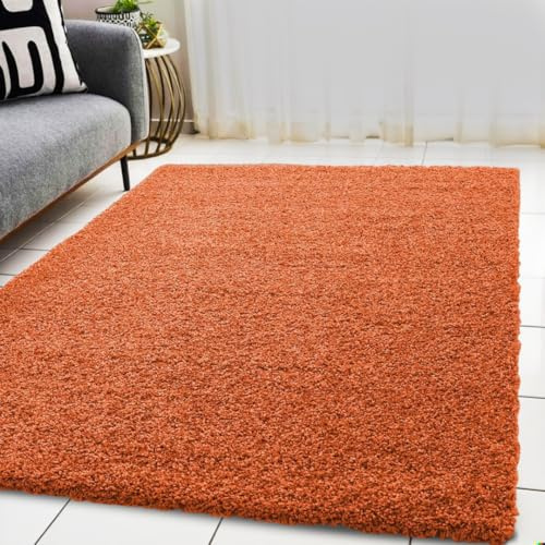 BPIL Living Room Rugs – 5cm Extra Thick Shaggy Rug – Soft Plain Area Rug, Luxurious Modern Carpet for Hall, Bedroom, Kitchen (Orange, 60x110cm)