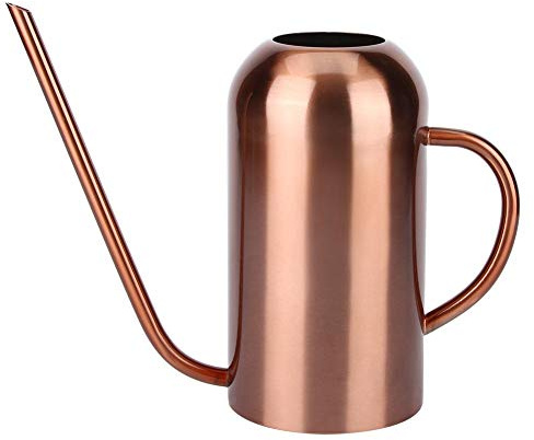 1.5L en Acier Inoxydable Arrosoir Intérieur pour Enfants Maison Bureau Bureau Plantes Bonsaï Saupoudrer Pot À Longue Bouche Jardin Fleurs Plantes Fleur Outil