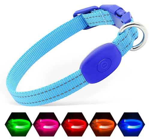 Illumifun LED-Halsband für kleine Hunde, wiederaufladbar über USB und Licht, verstellbares Nylon-Gurtband, Leuchthalsband für Ihre Welpen (blau, XS)