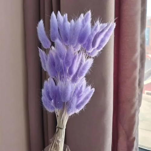 FOSANGPUSHI Getrocknete Blumen,50 Stück 45 cm getrocknetes Hasenschwanzgras, natürliche getrocknete Kaninchenschwänze, Boho, Zuhause, Hochzeitsdekoration, getrocknete Blumen, Party-Arrangement, Lila
