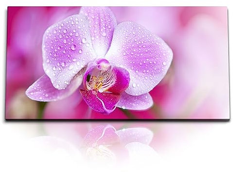 Paul Sinus Wandbild 120x60 cm Orchidee – Strahlende Eleganz der Natur, perfekt auf Leinwand und Holzrahmen verewigt