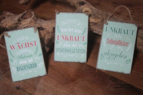 Posiwio 3 kleine Schilder UNKRAUT 15 x 10 cm, Metallschilder grün im 3er-Set